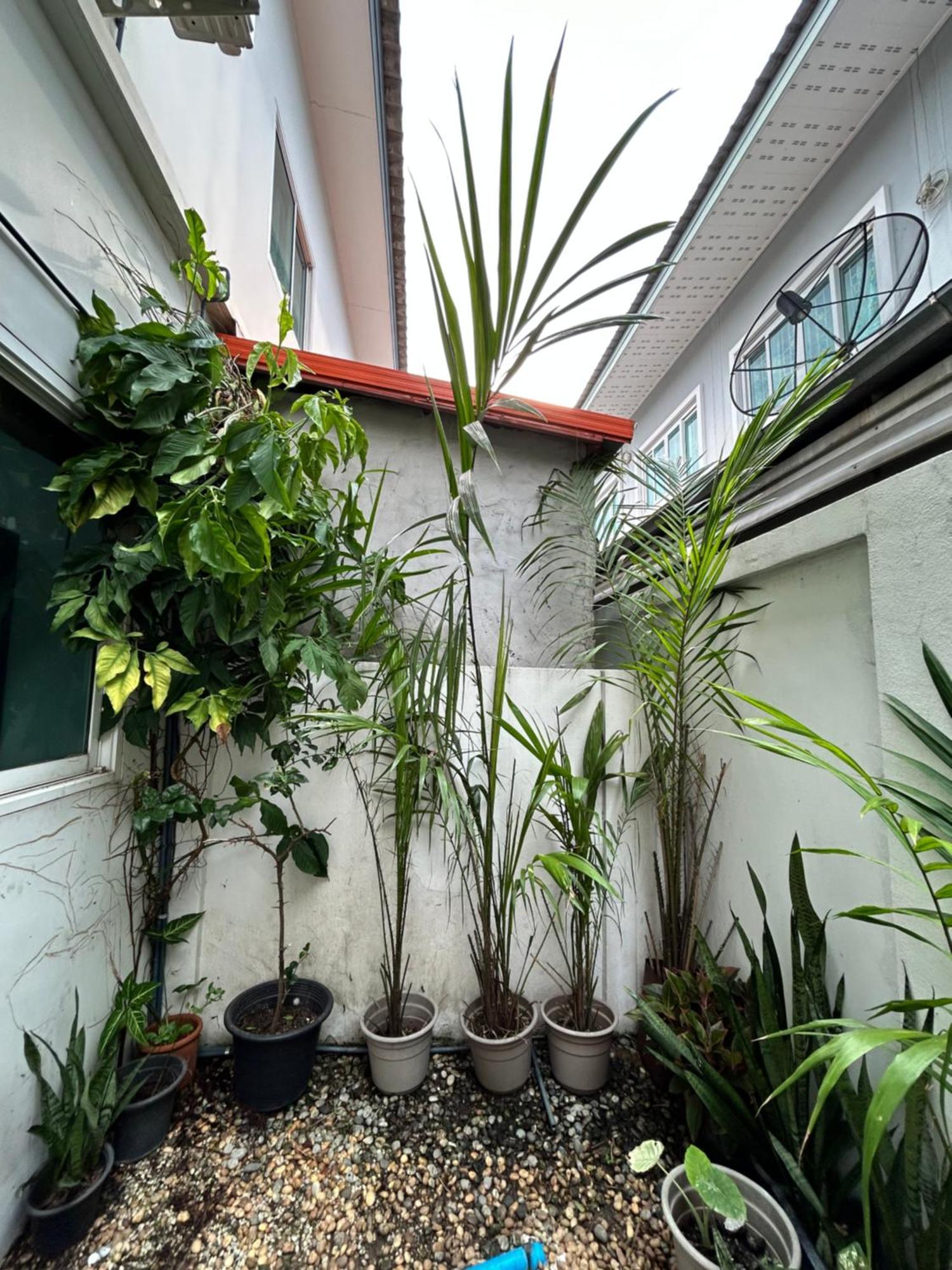 ไนซ์สเตย์ เฮาส์ แอทคลองสาม รังสิต คลองหลวง ปทุมธานี Nice Stay House At Khlong Sam - Rangsit - Khlong Luang - Phathumthani Bagian luar foto